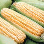 Spring Has Sprung- Time For A Look At Corn Futures!